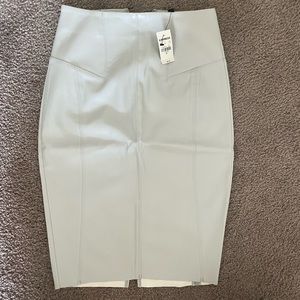 Express Pencil Skirt